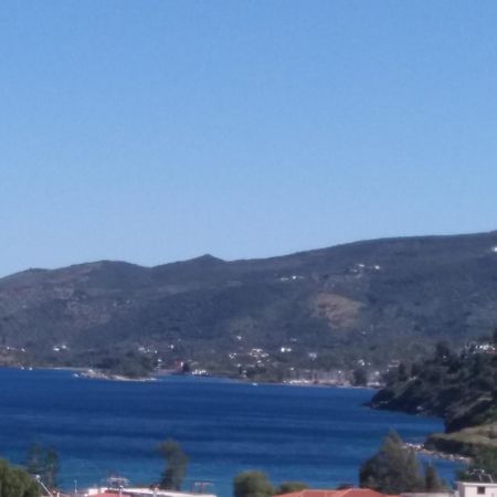 Forest & Sea Apartment Poros Town Exteriör bild