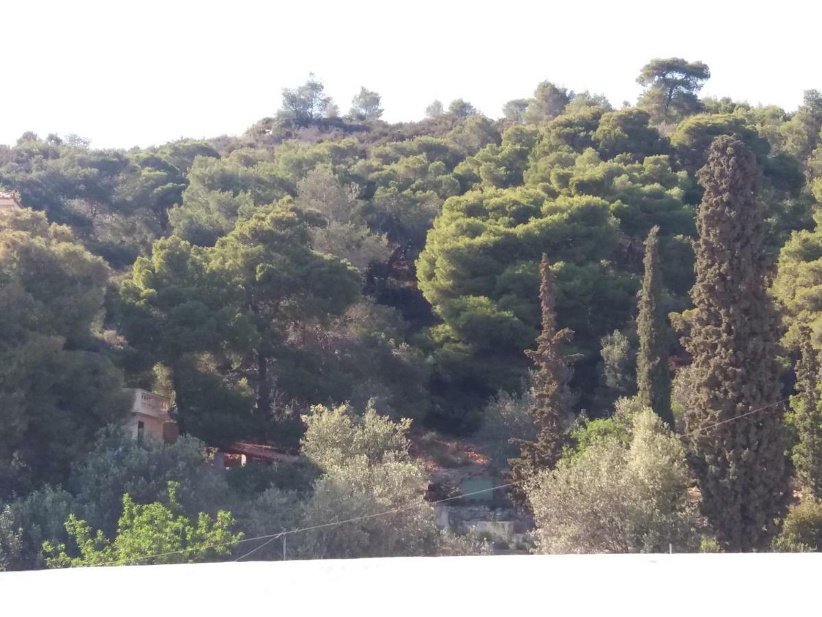 Forest & Sea Apartment Poros Town Exteriör bild